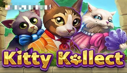 Kitty Kollect